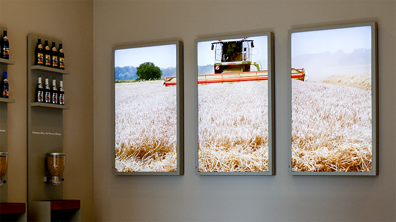 LET MODERN MEDIA INSPIRE \u2014 Badische Staatsbrauerei Rothaus AG \u2014 Rothaus, Germany \u2014 2019 | Bangert Projects