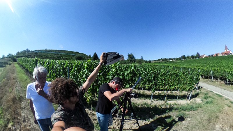 VINEYARD REGIONS OF THE COUNTRY \u2014 Landesvertretung Baden-Württemberg \u2014 Berlin, Germany \u2014 2020 | Bangert Projects